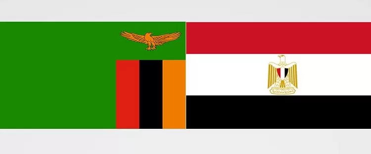 Egypt, Zambia probe fostering cooperation in health 1 - Egyptian Gazette
