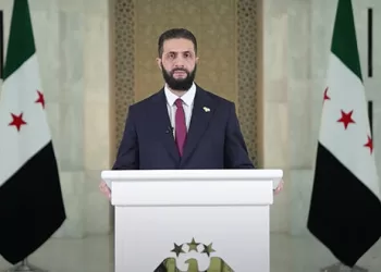 Syrian government halts fire, seeks unity