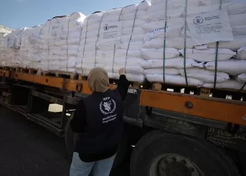 Humanitarian aid enters Gaza through Egyptian efforts as Israeli forces close Rafah crossing