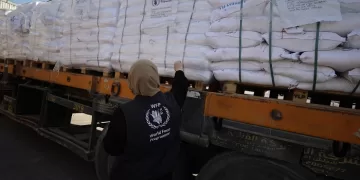 Humanitarian aid enters Gaza through Egyptian efforts as Israeli forces close Rafah crossing