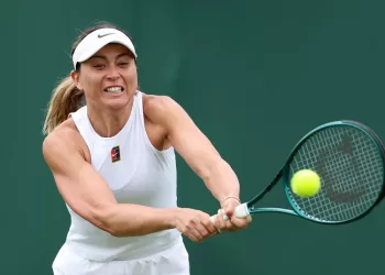 Badosa sidelined after fresh injury