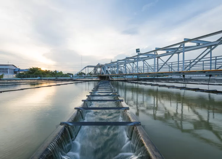 Sinai development model of national strength 1 - Egyptian Gazette