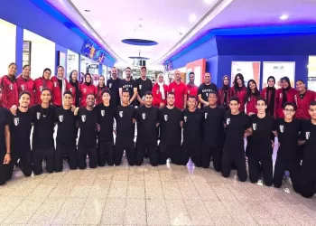 Egyptian athletes blaze African track