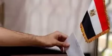 Egyptian embassies abroad finalise preparations for 2025 Senate elections