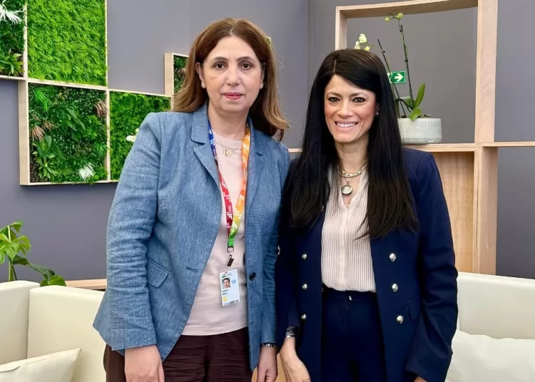 Mashat hails ESCWA's tools in financing, debt management 1 - Egyptian Gazette