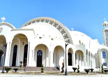 Egypt posts significant progress in stability, peace indicators