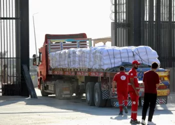 Egypt continues Gaza relief efforts amid dire humanitarian crisis
