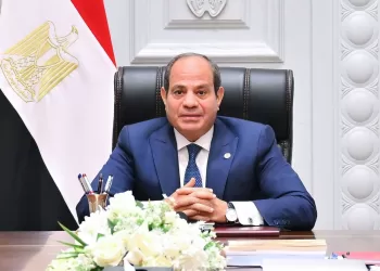 Sisi urges Trump, EU, Arab leaders to intensify efforts to halt Gaza war