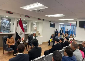 FM: State keen on strengthening communication channels with Egyptians abroad