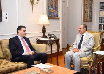 FM reviews efforts to export Egyptian medicines to African markets