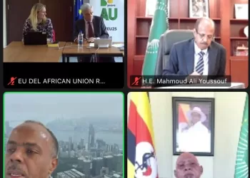 Egypt reaffirms support for Somalia’s stability