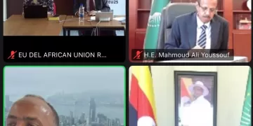 Egypt reaffirms support for Somalia’s stability