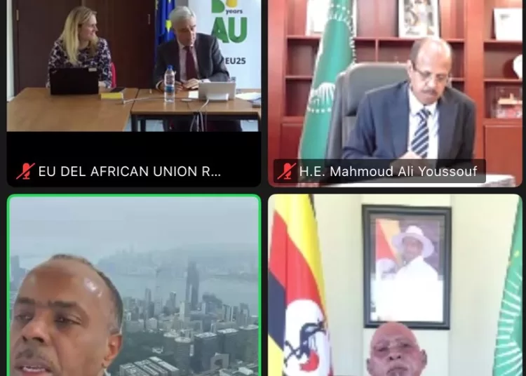 Egypt reaffirms support for Somalia’s stability 1 - Egyptian Gazette