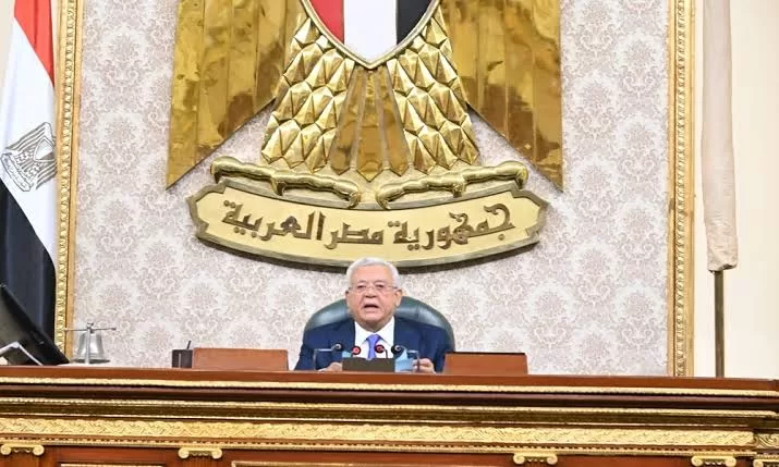 'Sports Law amendments to transform local sports landscape' 3 - Egyptian Gazette