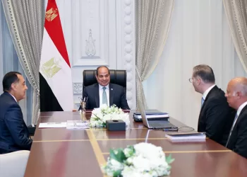 Sisi underscores need to develop new oil, gas discoveries, boost mineral resources sector
