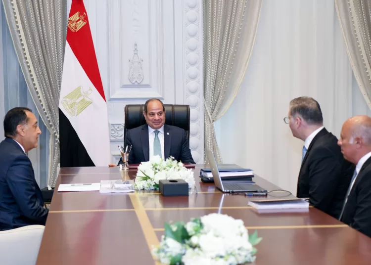 Sisi underscores need to develop new oil, gas discoveries, boost mineral resources sector 1 - Egyptian Gazette