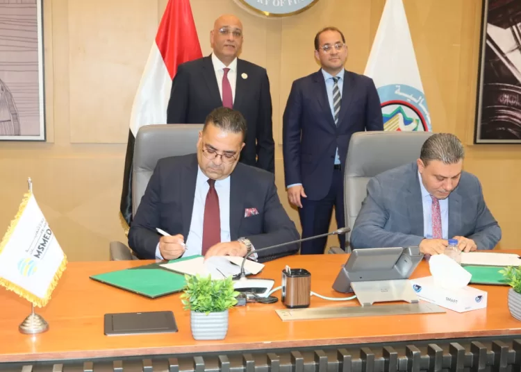 LE5b allocated for SMEs sector in new budget- Kouchouk 1 - Egyptian Gazette