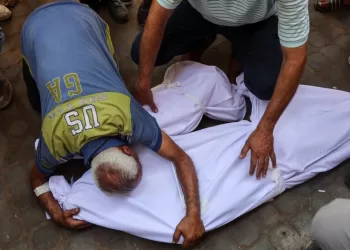 Hamas agrees to Trump ceasefire plan, hostage talks imminent