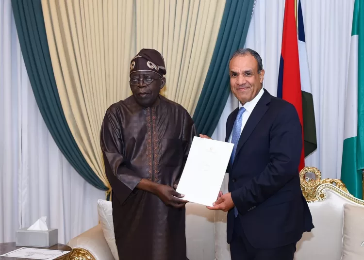 Egypt, Nigeria stress importance of intensifying joint action to support Africa’s stability, development 1 - Egyptian Gazette
