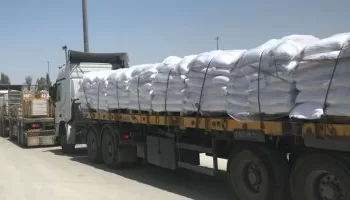 Aid trucks cross Karam Abu Salem terminal for Gazans