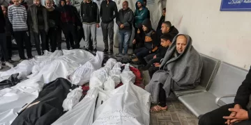 13 Palestinians killed as Israeli forces target aid seekers in Gaza