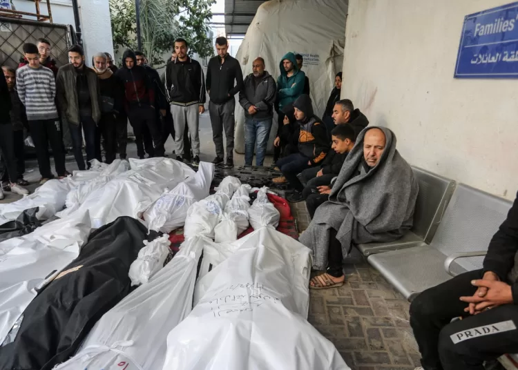 13 Palestinians killed as Israeli forces target aid seekers in Gaza 2 - Egyptian Gazette 13 Palestinians killed as Israeli forces target aid seekers in Gaza 1 - Egyptian Gazette