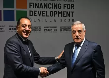 PM hails Egyptian-Algerian relations