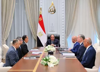 Sisi emphasises role of petrochemical industries to maximise resources