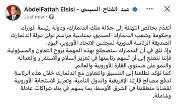 Sisi backs Denmark’s EU Presidency