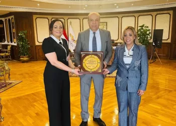 Engaging Egyptians abroad: New horizons for civil society co-operation