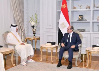 President Sisi in talks with visiting Qatari PM: Necessary to promptly start Gaza reconstruction following ceasefire