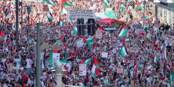 Over 200 senior diplomats call for urgent EU action to stop Israel’s war on Gaza