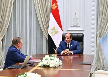 Sisi to CBE: Keep on attracting investment flows, empowering private sector