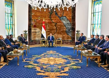Egypt supports all efforts to achieve Sudan security, stability
