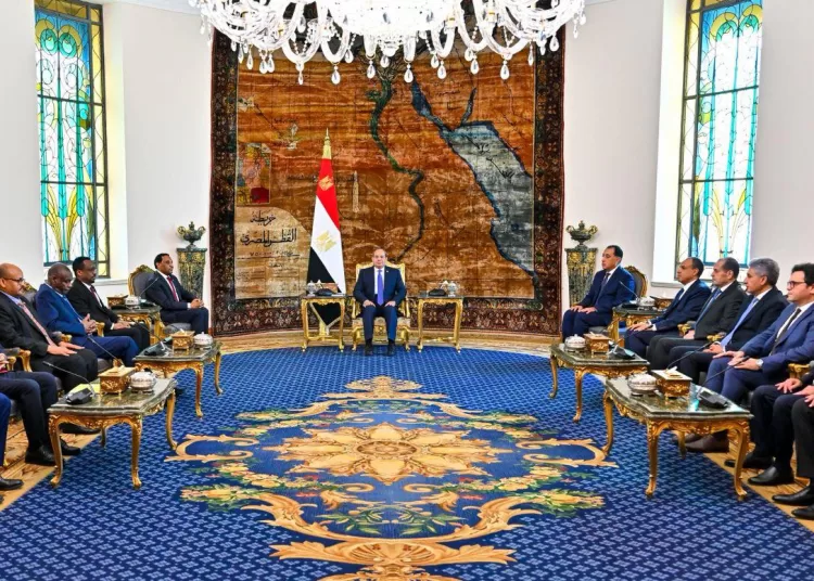 Egypt supports all efforts to achieve Sudan security, stability 1 - Egyptian Gazette
