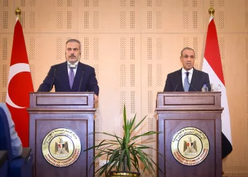 Egypt, Turkey see eye to eye on crises