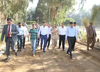 Egypt revives Arabian horse heritage