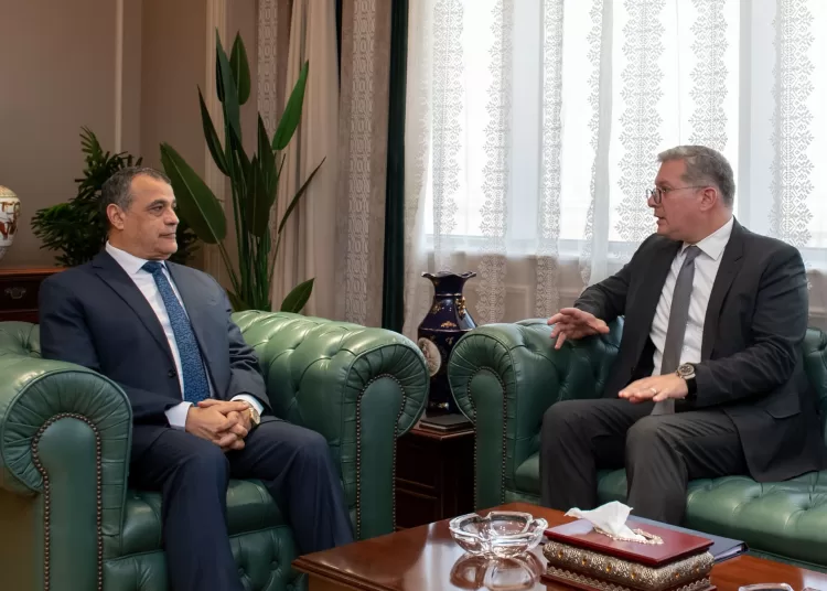 Military production, petroleum ministries probe promoting cooperation 1 - Egyptian Gazette