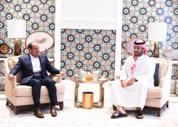 Sisi, Bin Salman discuss regional developments