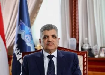 President Sisi extends term of Walid Gamal El-Din as SCZone Chairman for one year