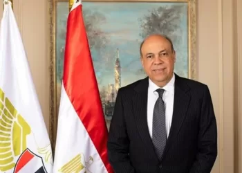 Aviation Min. discusses support of Egyptian expats in US