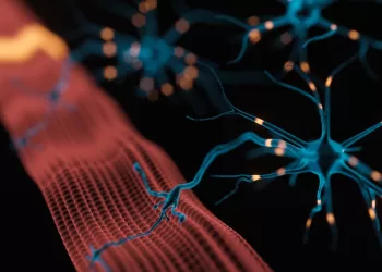 Vialox: A Peptidic Key to Neuromuscular Research Innovation