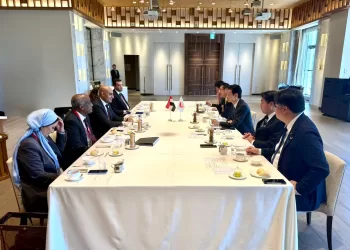 Cairo, Tokyo deepen joint educational co-operation