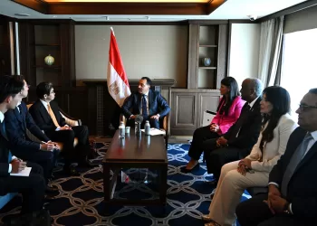 PM lauds Egypt-JBIC co-operation in financing projects