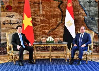 Egypt reiterates firm rejection of Palestinian displacement