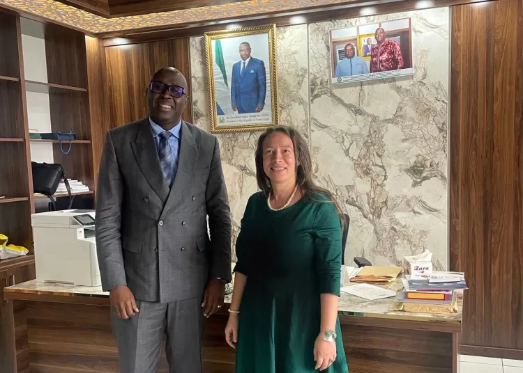 Egypt, Sierra Leone discuss strengthening economic relations 1 - Egyptian Gazette