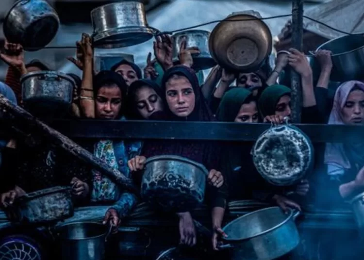 Israel’s takeover of Gaza City would mark ‘a dangerous escalation’: Guterres 2 - Egyptian Gazette Israel’s takeover of Gaza City would mark ‘a dangerous escalation’: Guterres 1 - Egyptian Gazette