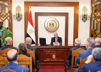 FM opens 1st conference for heads of Egyptian missions abroad