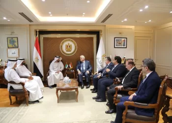 Egypt, UAE eye stronger higher education ties