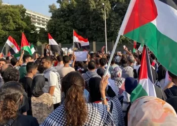 Egyptians in Austria rally for Gaza, back Sisi’s stance